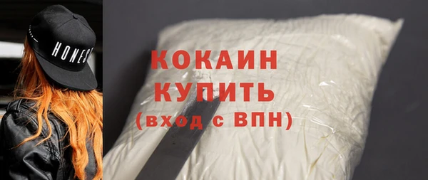 прущие грибы Няндома
