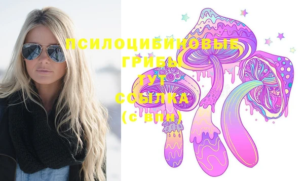 стафф Баксан