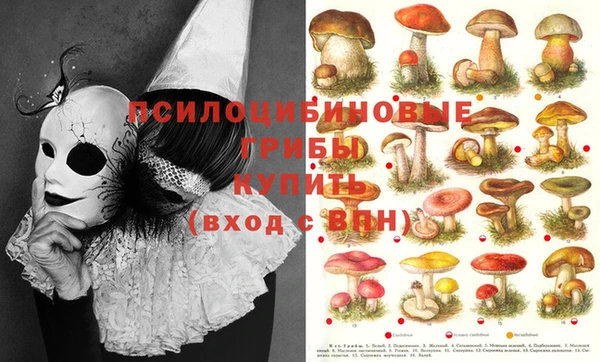 каннабис Осташков