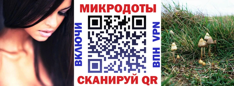 Псилоцибиновые грибы мицелий  где продают наркотики  blacksprut ONION  Соль-Илецк 