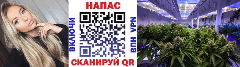 МАРИХУАНА THC 21%  блэк спрут сайт  Соль-Илецк 